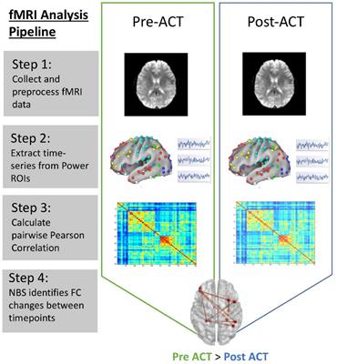 Neural Mechanisms of Acceptance and Commitment Therapy for Chronic Pain: A Network-Based fMRI Approach